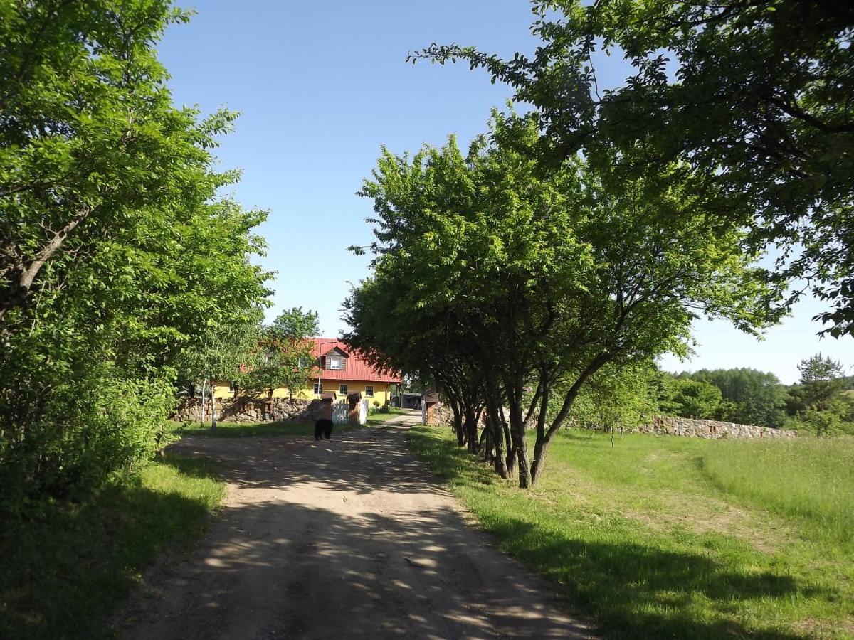 Villa Agroturystyka Dolina23 Piaski Exterior foto