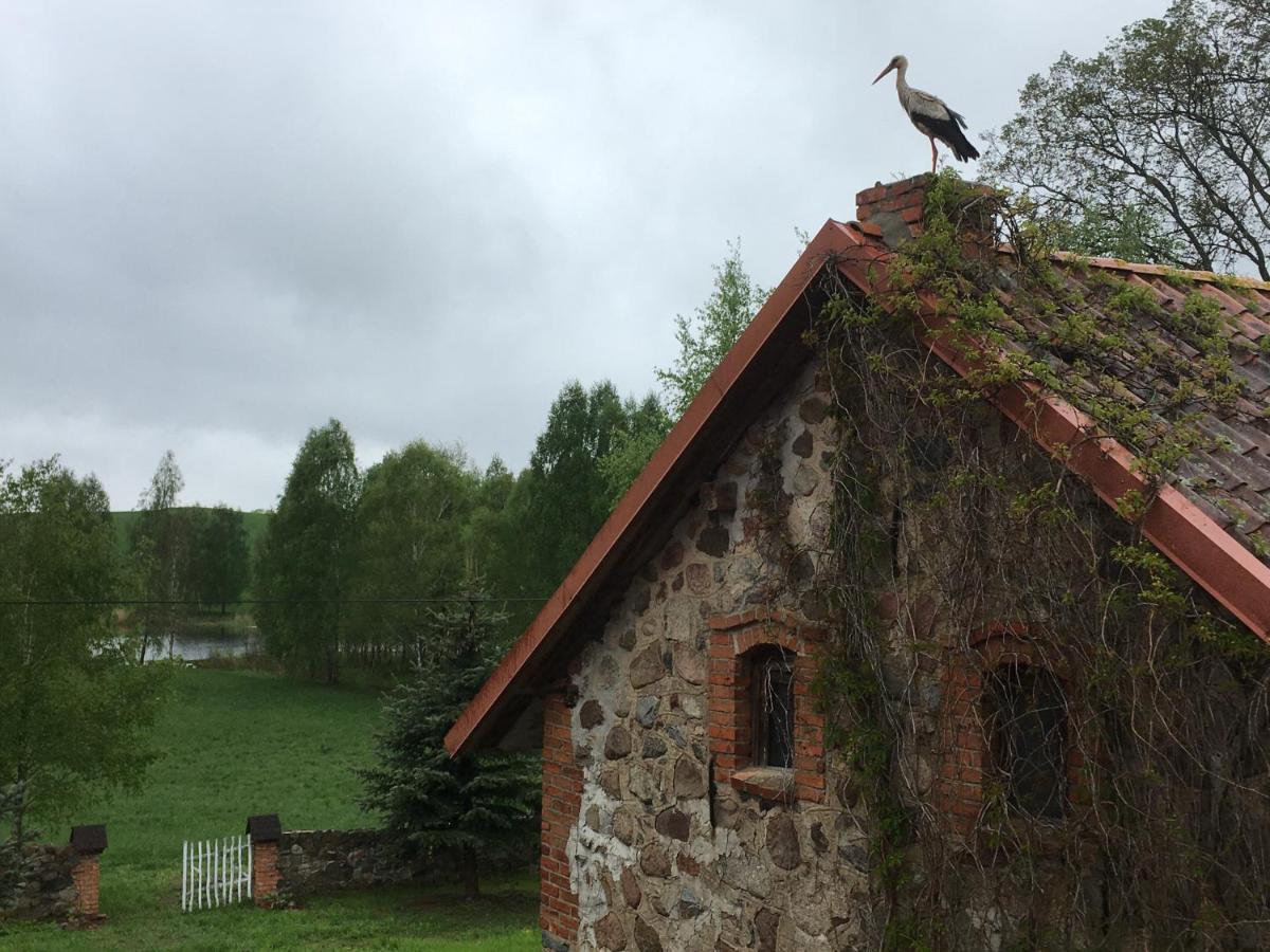 Villa Agroturystyka Dolina23 Piaski Exterior foto